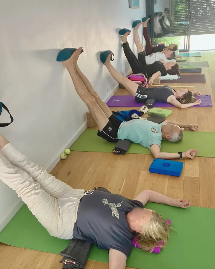 Lucia Yoga (Bois Raguenet) — yoga-studio à Orvault, Nantes — 3