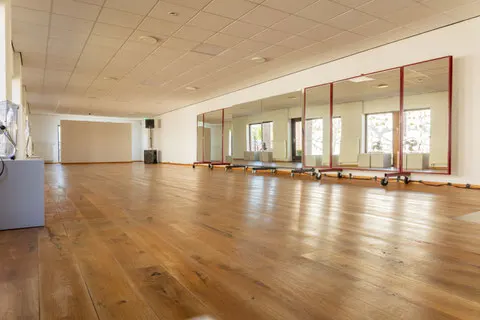 Mylagro — dans-studio in Horst — 3