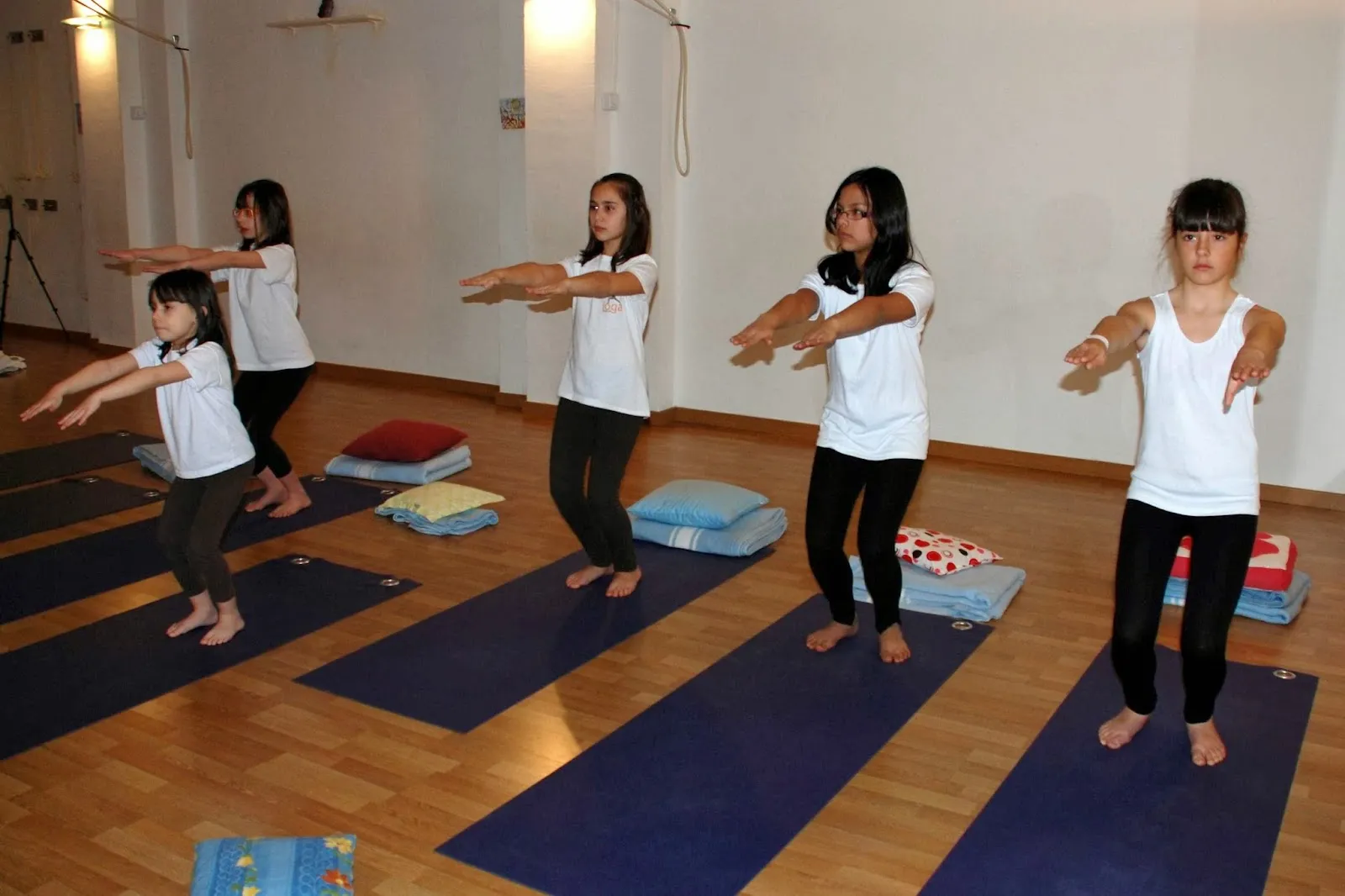Terapies Naturals Lleida — yoga-studio en Lleida — 5