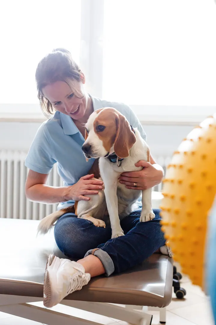 dogMED Tierheilpraxis & Physiotherapie — Wellness in Bogenhausen, München