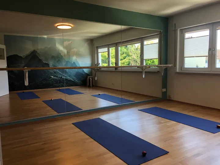Deltastudio Mannheim Raum für Körpertraining und Haltungscoaching — pt-studio in Mannheim — 3