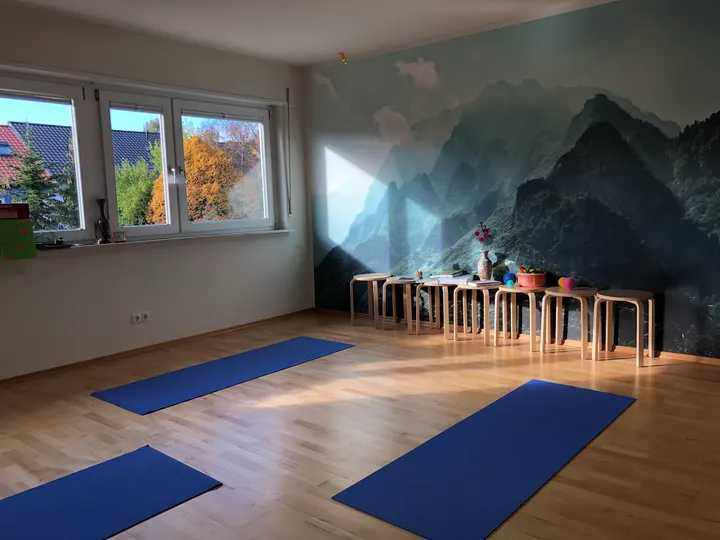 Deltastudio Mannheim Raum für Körpertraining und Haltungscoaching — Fitnessstudio in Neckarstadt-Ost, Mannheim
