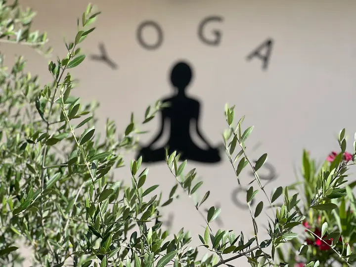Yoga With You Le Bouscat — yoga-studio à Bordeaux — 3
