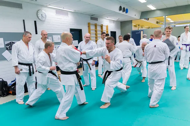 Helsingin Shukokai Karate Ry — kamppailulajit-studio – Helsinki — 3