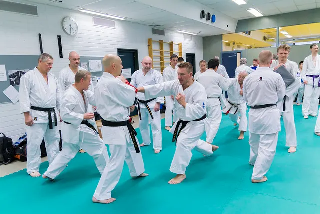 Helsingin Shukokai Karate Ry — kamppailulajit-studio – Vuosaari, Helsinki — 3