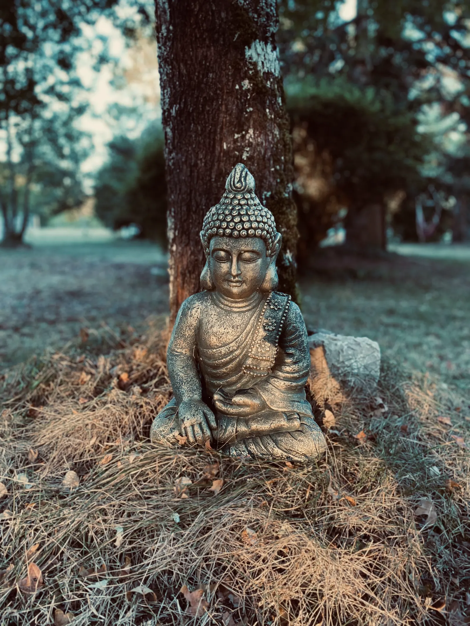 Train your Om — yoga-studio i Hof — 3