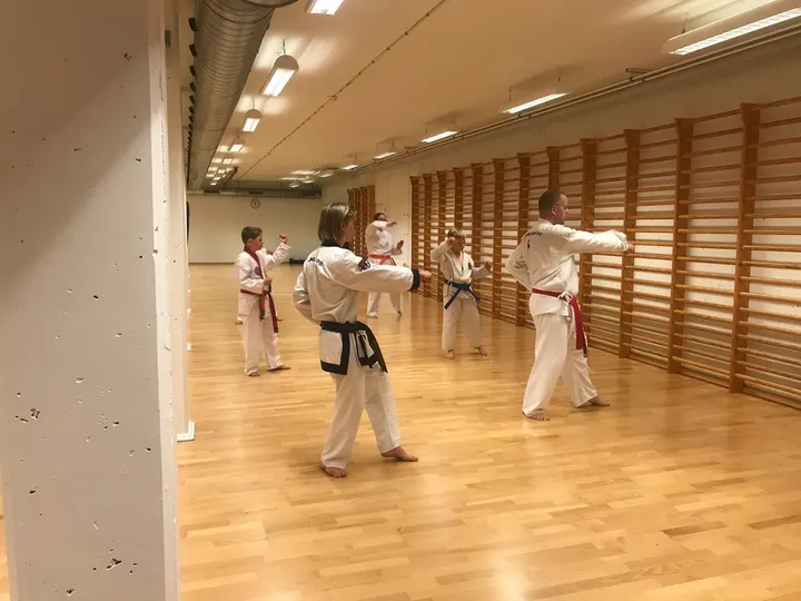 Rosengård Moo Duk Kwan Tang Soo Do Klub — kampsport-studio i Odense — 4