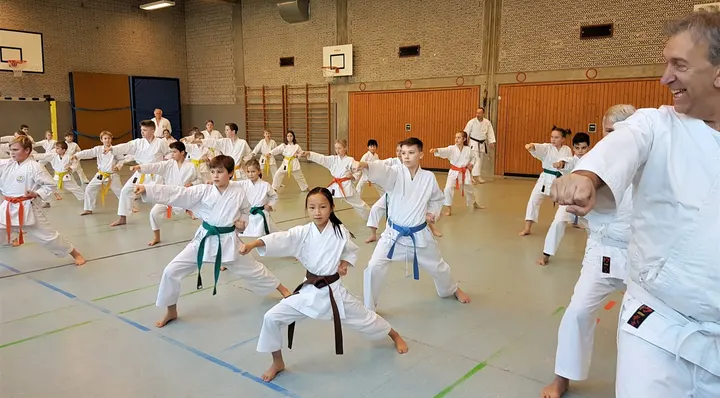 Bujutsu Karate Freiburg e.V. — kampfsport-studio in Herdern-Nord, Freiburg im Breisgau — 2