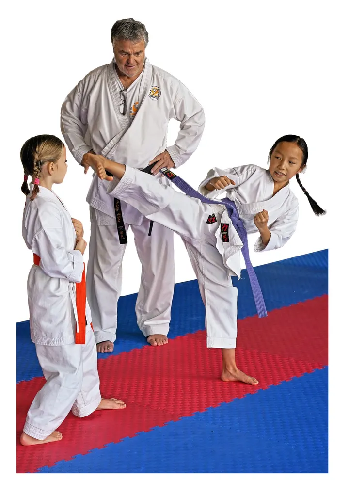 Bujutsu Karate Freiburg e.V. — kampfsport-studio in Freiburg im Breisgau — 4