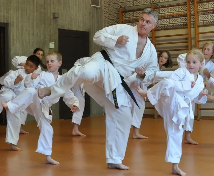 Bujutsu Karate Freiburg e.V. — kampfsport-studio in Freiburg im Breisgau — 5