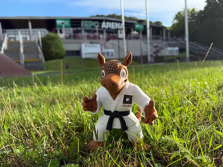 Judo Koblenz — kampfsport-studio in Koblenz — 3