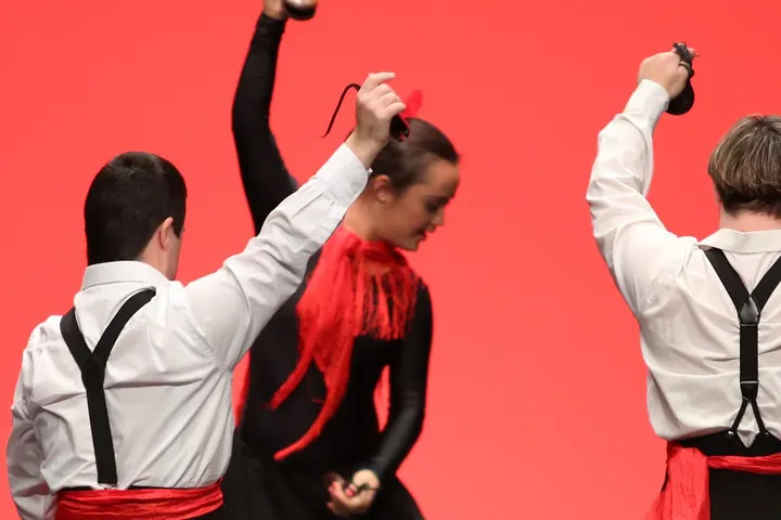 ASOCIACION DANZA DOWN — baile-studio en Carabanchel, Madrid — 2