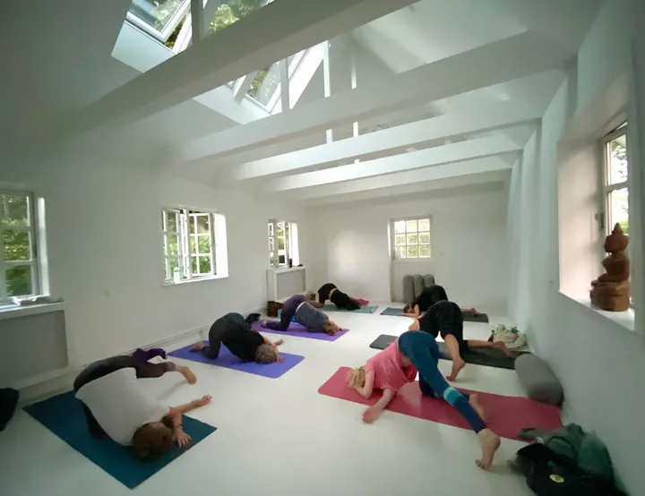 Sadhu Yoga — yoga-studio i Vedbæk — 5