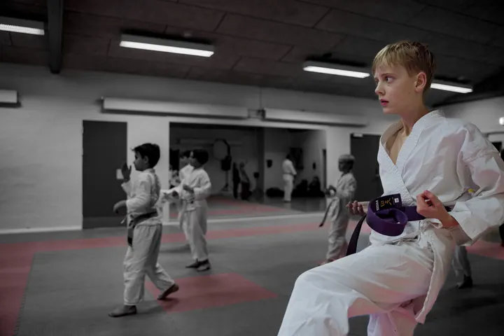 Viborg Goju Ryu Karate — kampsport-studio i Hald Ege, Viborg — 2