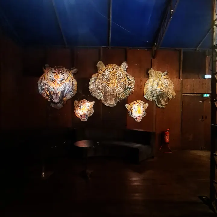 Cirque Électrique — arts aériens-studio à Paris 20e Arrondissement, Paris — 2