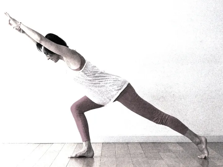 YOGA Les Ailes — yoga-studio à Lyon — 3