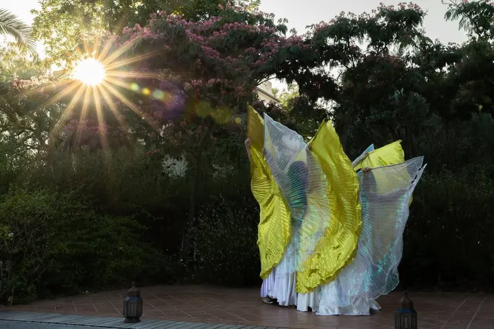L'Effet Oriental — danse-studio à Perpignan — 3