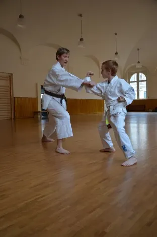 Shotokan Dojo Leipzig e.V. — Kampfsport in Leutzsch, Leipzig