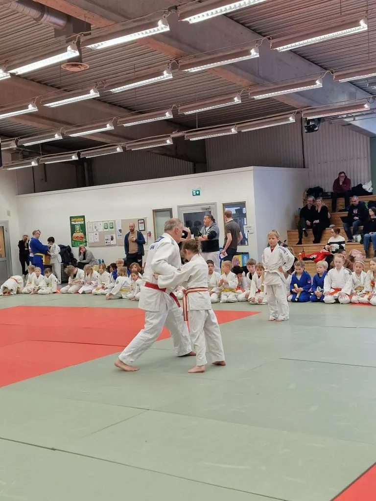 Larvik Judoklubb — kampsport-studio i Larvik — bild 3