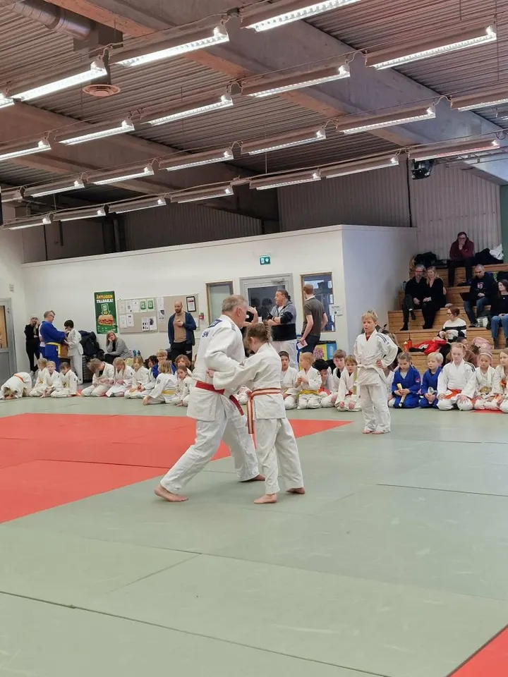 Larvik & Sandefjord Judoklubb Frankendalsveien — kampsport-studio i Hovland, Larvik — 3