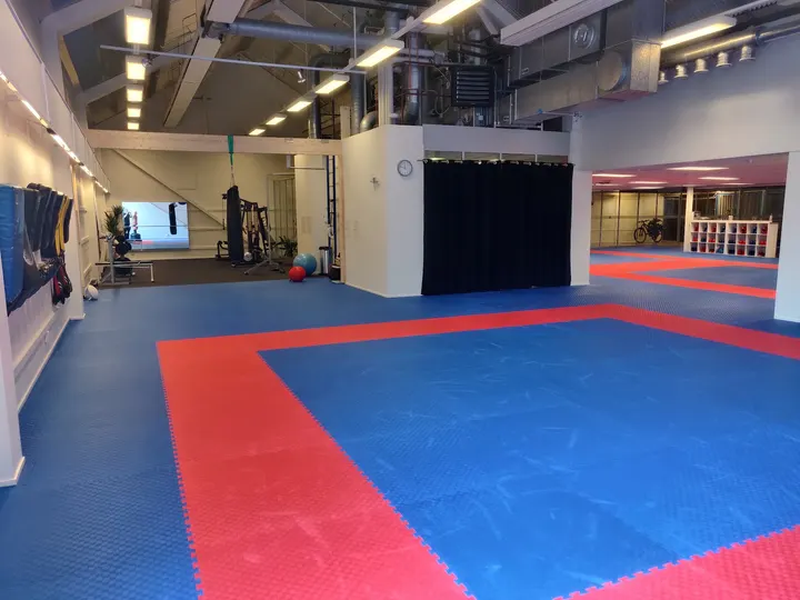 Trollhättans ITF Taekwon-Do klubb — kampsport-studio i Trollhättan — 3