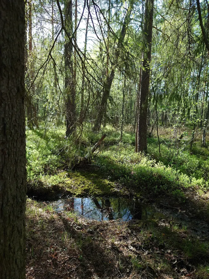 Tohlopin Tynnyrisauna — wellness-studio – Tohloppi, Tampere — 2