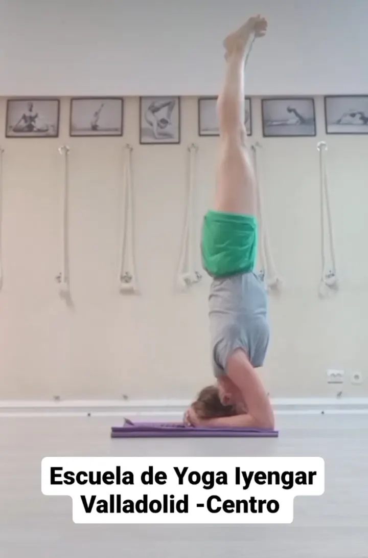 Escuela de Yoga Iyengar Valladolid — yoga-studio en Caño Argales, Valladolid — 2