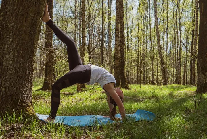 Wald Yoga 2 — yoga-studio in Dresden — 3