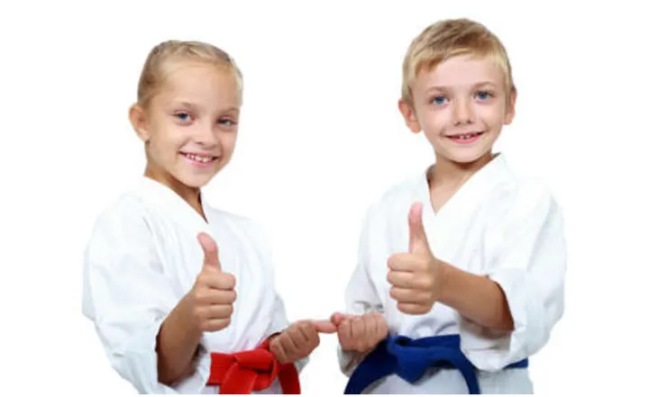 Okinawa Karate Club — arts martiaux-studio aux Ormeaux, Le Havre — 2