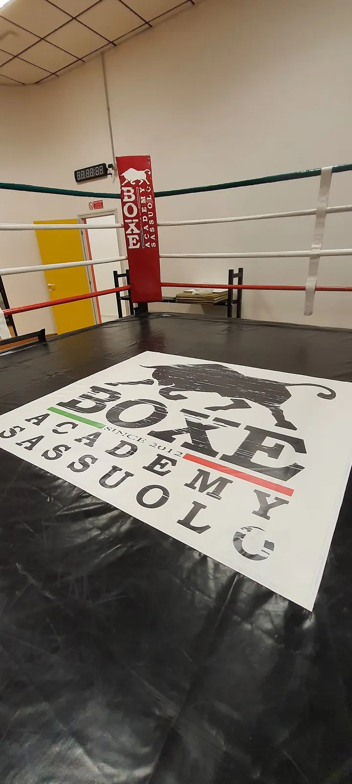 Boxe Academy Sassuolo SSD — boxe-studio a Braida, Sassuolo — 2