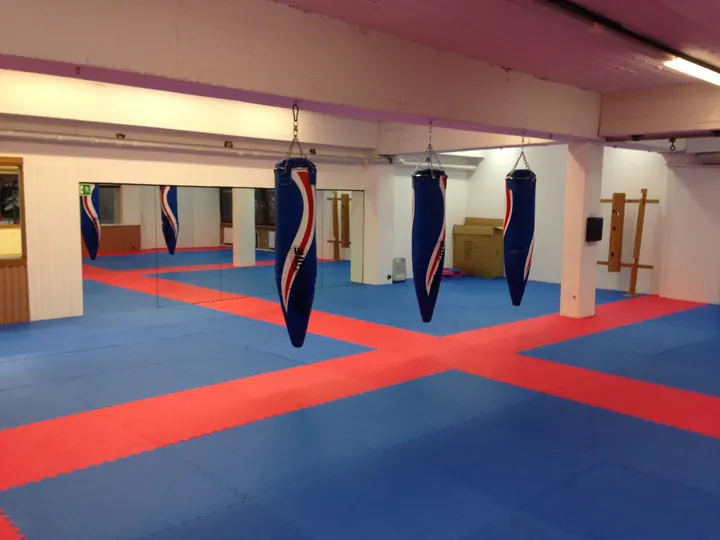 Taiyo Sportcenter — kampfsport-studio in Altona-Altstadt, Hamburg — 2
