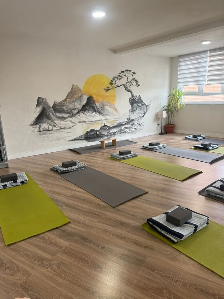 Respira Yoga — yoga-studio en Móstoles — 5