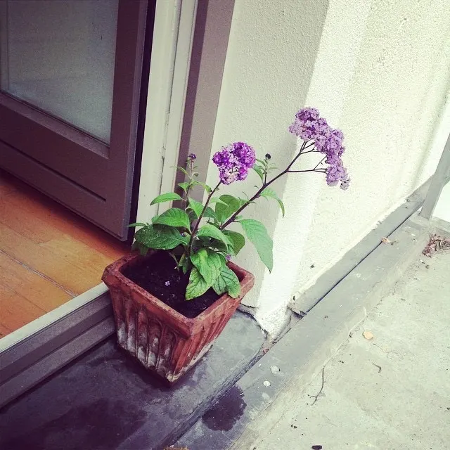 LAUF.RAD, YOGA & TRAINING @Schubertstraße — yoga-studio in Ludwigsvorstadt, München — 3
