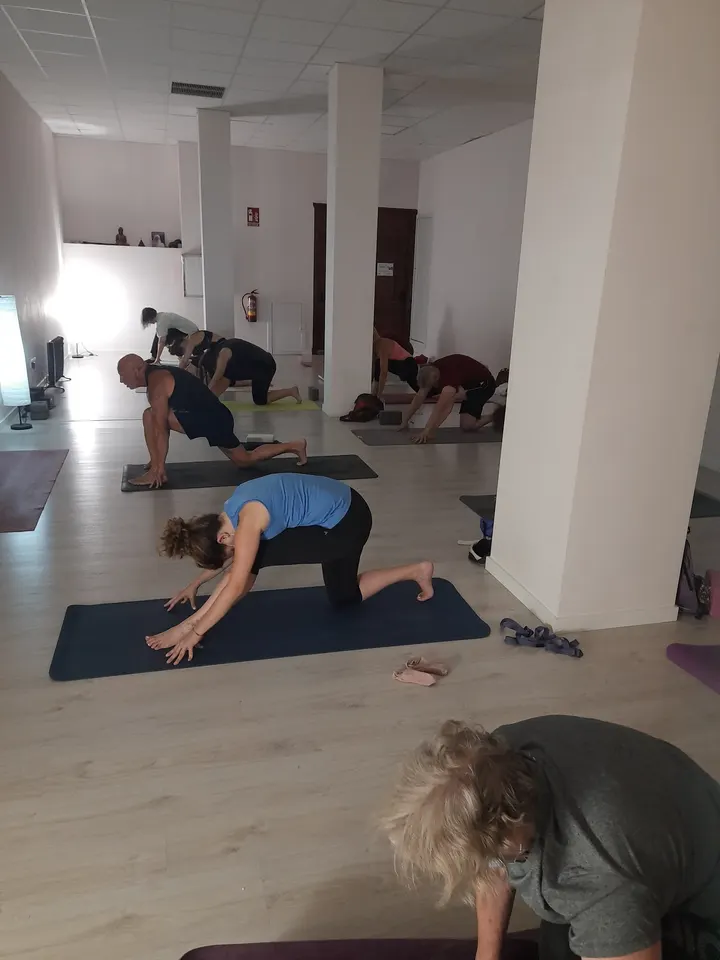 Yoga — Yoga en Reyes Católicos, Alcalá de Henares