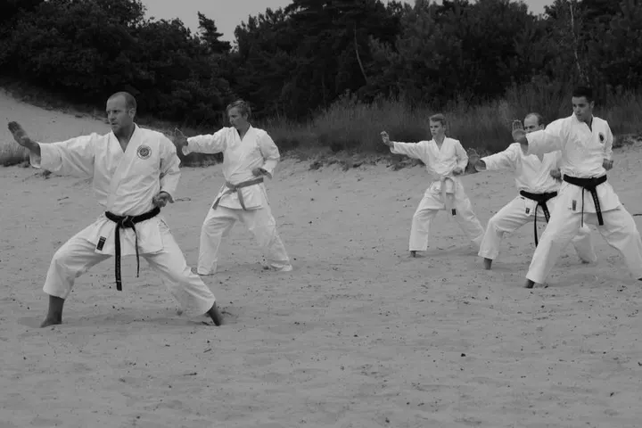 Karate-do School Tora No Maki — vechtsport-studio in Vlijmen — 3