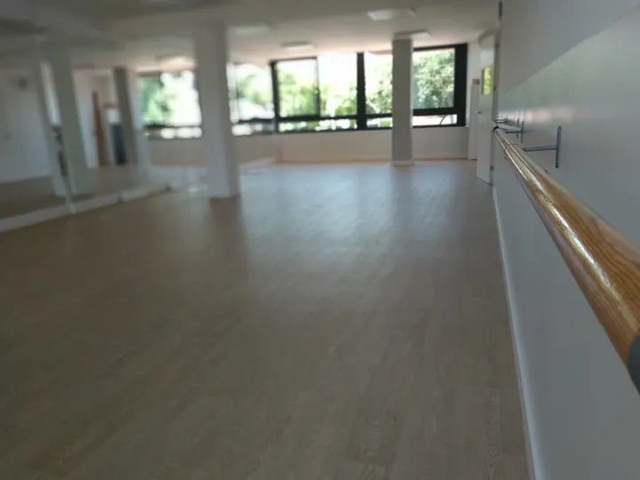 Danzarte, Asociacion cultural Sueño Andaluz — baile-studio en Castelldefels — 3