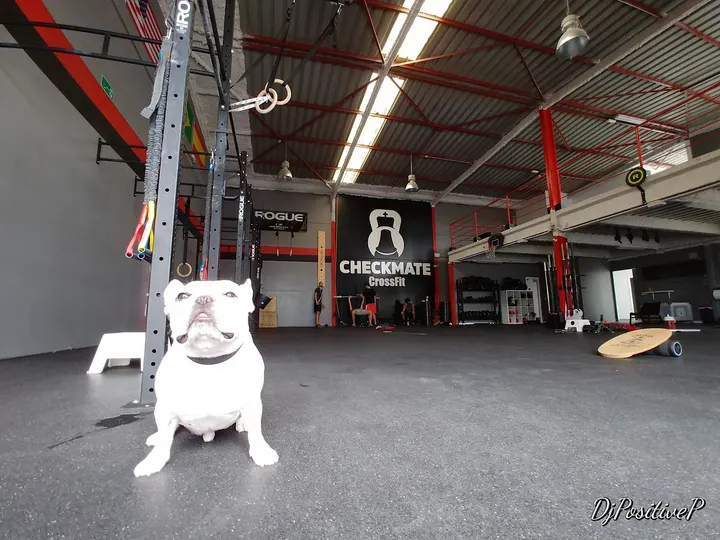 Checkmate CrossFit — crossfit-studio en Sudamérica, El Puerto de Sta María — 3