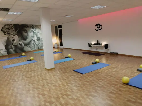 Yogi-Omniverse — Wellness en Vicálvaro, Madrid