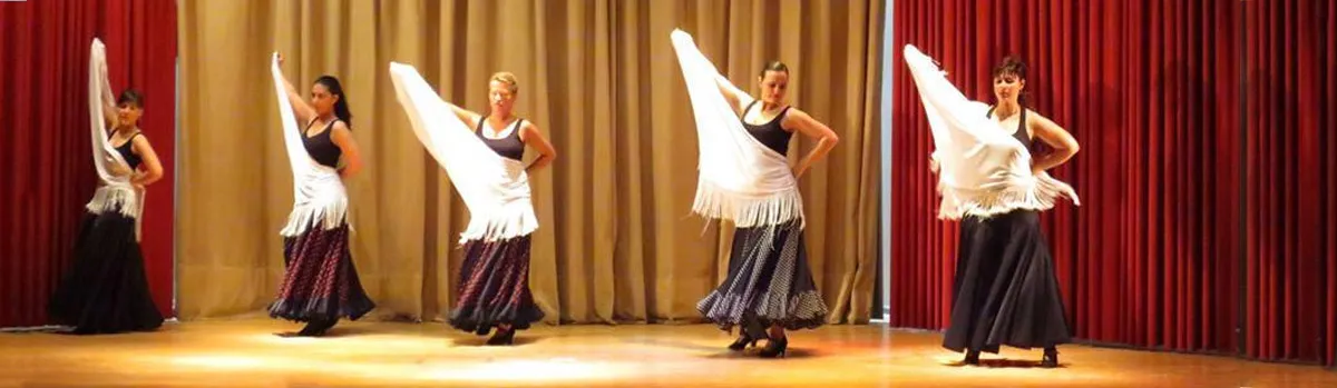 Danzasantander. Escuela de Danza María Luisa Martín Horga — baile-studio en Cazoña, Santander — 3