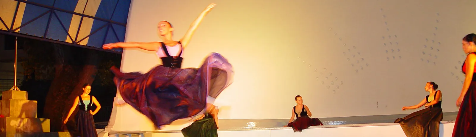 Danzasantander. Escuela de Danza María Luisa Martín Horga — baile-studio en Santander — 6