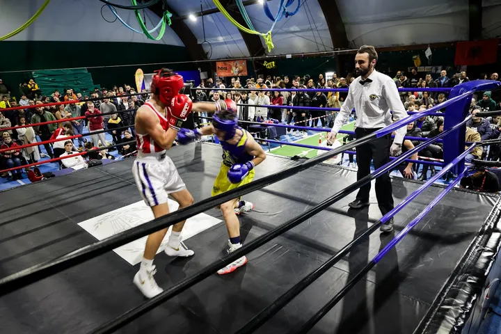 Ringadora Boxe — boxe-studio a Modena — 3