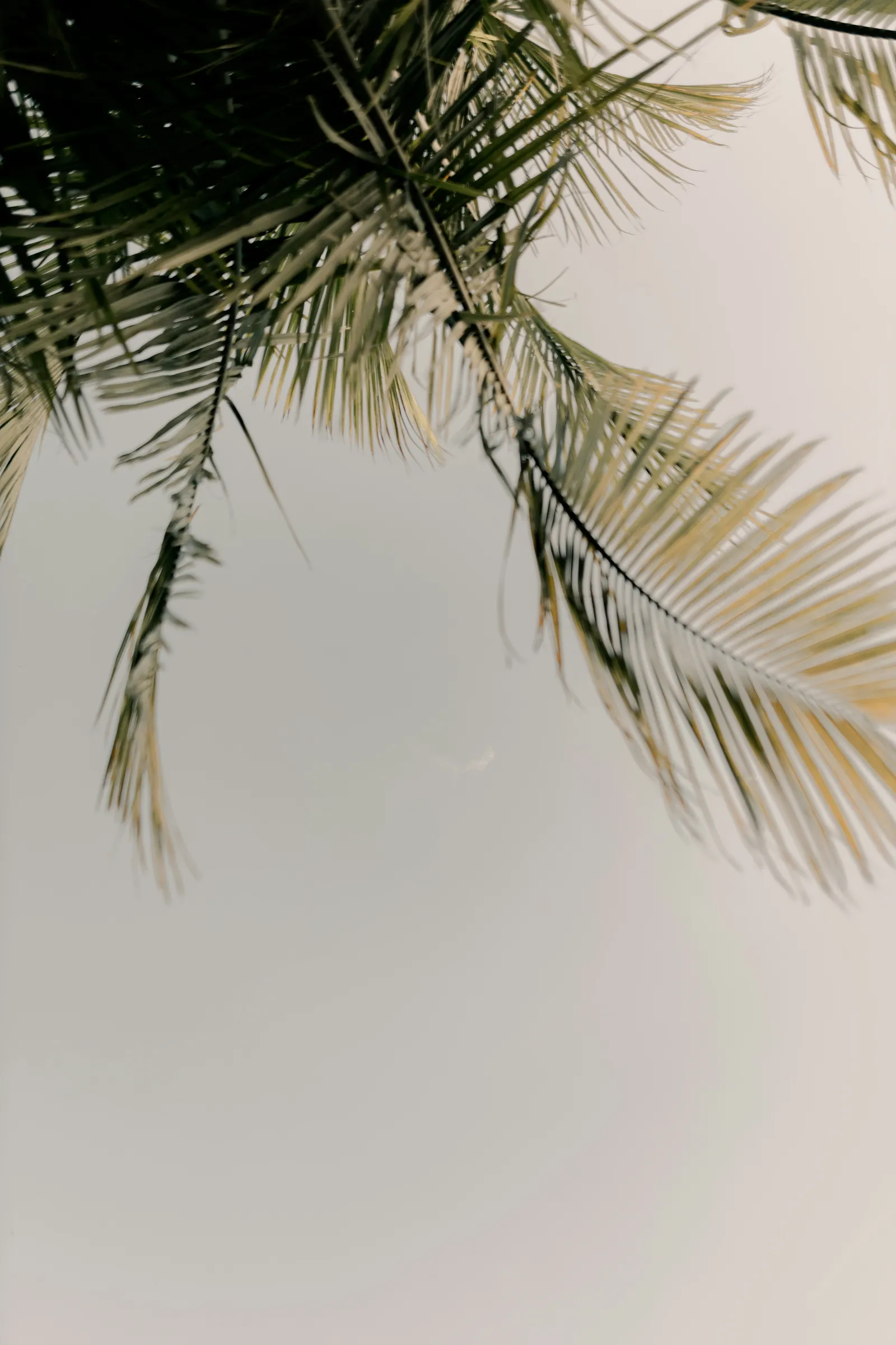 Cloud 5 — yoga-studio i Leonberg — 2
