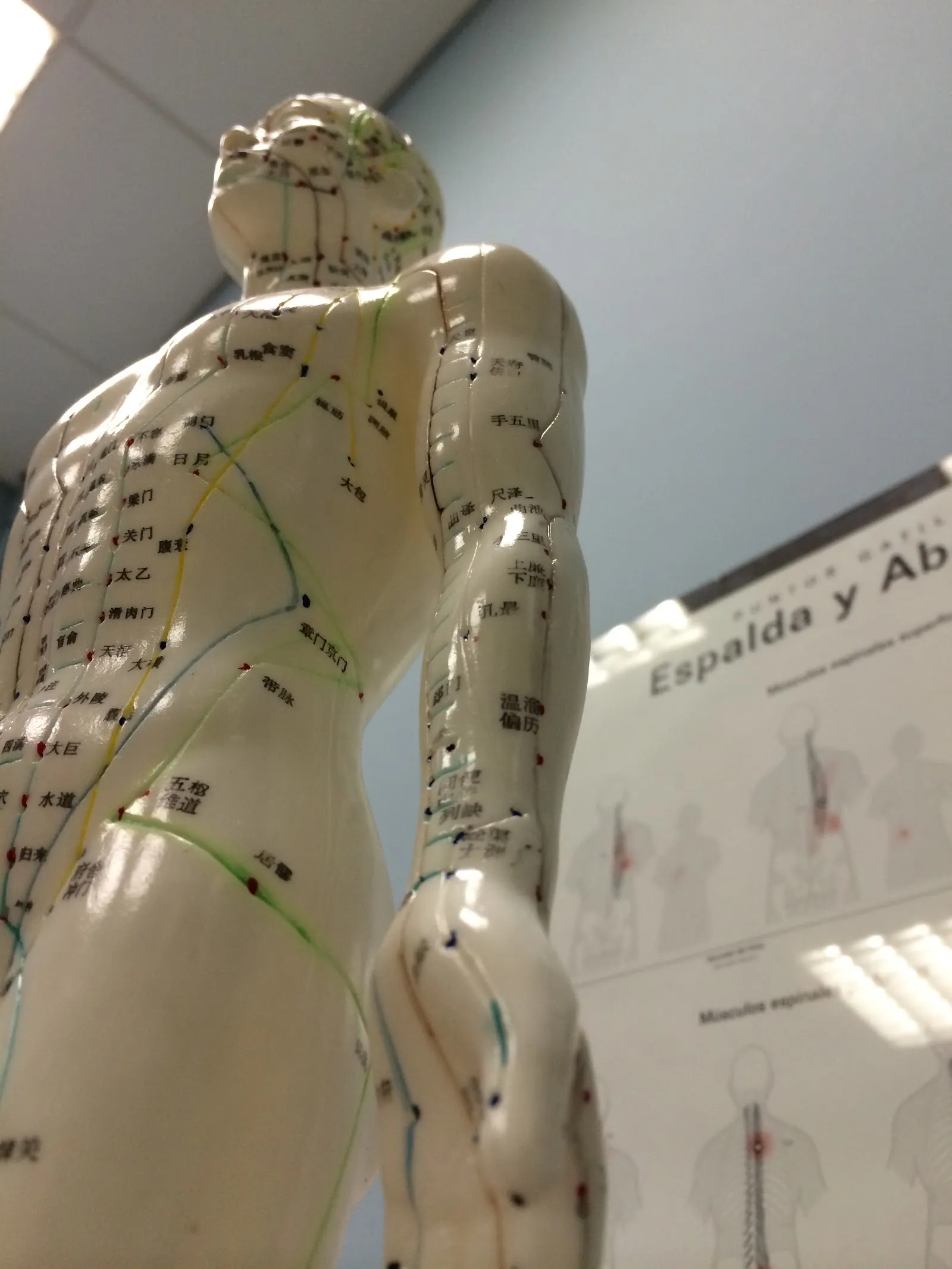 Clínica Fages. Fisioterapia, traumatología, podologia, pilates y medicina estética — pilates-studio en Fuenlabrada — 4
