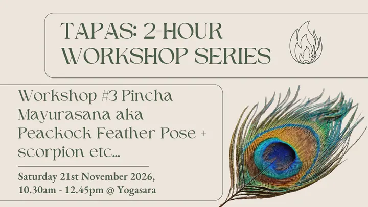 Moving Forms — yoga-studio in Bristol — 4