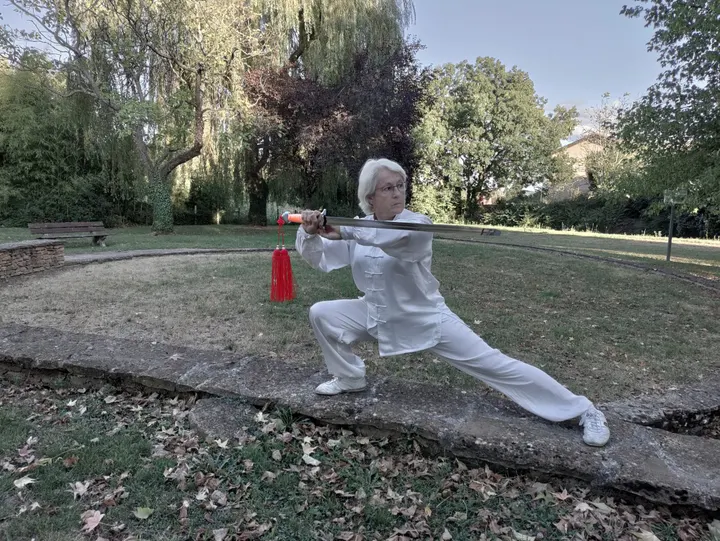 Académie des Arts Martiaux Chinois — Arts martiaux à Sainte-Foy-lès-Lyon