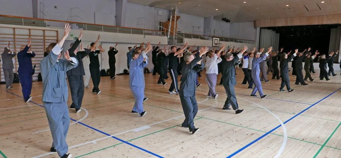 Taiji Alkuperäinen Yang-tyyli — kamppailulajit-studio – Vallila, Helsinki — 2