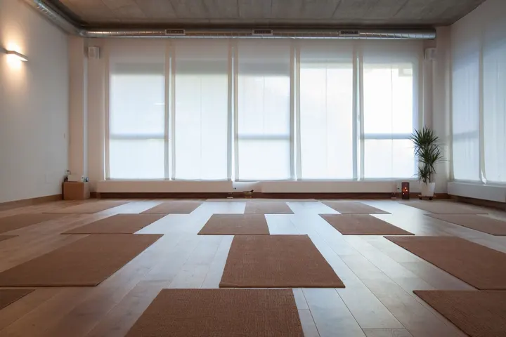 Swastha Yoga — yoga-studio en Donostia/San Sebastián — 5