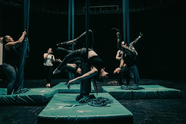 Momentum Pole & Aerial — pole fitness-studio in Linden, Gloucester — 2