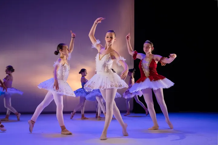 Académie de Danse Daniela Gihr — danse-studio à Neudorf-Musau, Strasbourg — 2