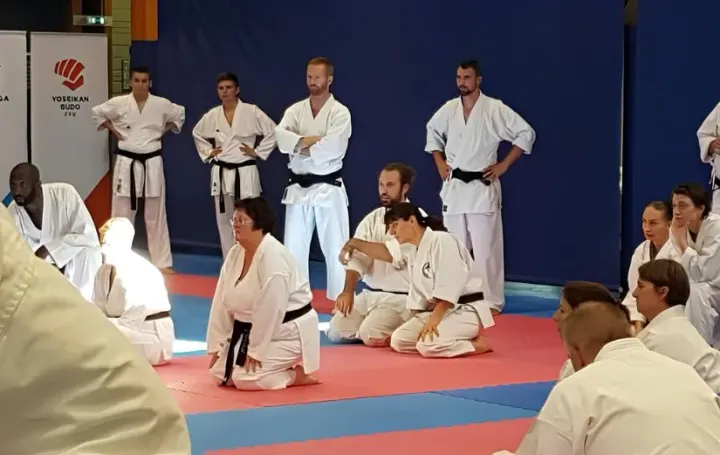 Wado Club De Lyon — arts martiaux-studio à Lyon — 3